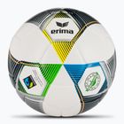 ERIMA Hybrid Eco football silver/navy size 5