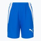 PUMA Teamliga children's football shorts navy blue 704931 02