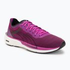 Women's running shoes Puma Eternity Nitro deep orchid
