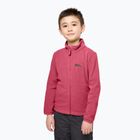 Jack Wolfskin Taunus children's trekking jacket