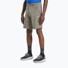 Men's trekking shorts Jack Wolfskin Pico Trail stone