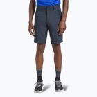 Men's trekking shorts Jack Wolfskin Pico Trail midnight sky