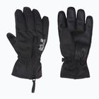 Children's trekking gloves Jack Wolfskin Easy Zip black
