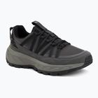 Men's hiking boots Jack Wolfskin Wild Hike Texapore Low black/phantom