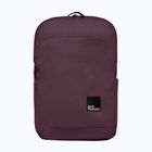 Jack Wolfskin Terraview 20 l urban backpack amaranth
