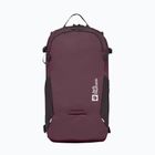 Jack Wolfskin Velocity 20 l amaranth backpack