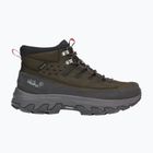 Men's hiking boots Jack Wolfskin Apex Hike Texapore Mid obsidian moss