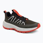 Men's hiking boots Jack Wolfskin Wild Hike Low obsidian moss