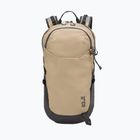 Hiking backpack Jack Wolfskin Astro Vent 24 l hazel wood