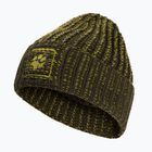 Winter hat Jack Wolfskin Badge Beanie obsidian moss