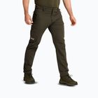 Men's trekking trousers Jack Wolfskin Activate Flex obsidian moss