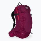 Jack Wolfskin Crosstrail ST 22 l hiking backpack maroon 2009562_2222