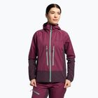 Jack Wolfskin Alpspitze Hoody women's ski jacket purple 1307391_1014