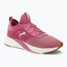 Women's running shoes PUMA Softride Ruby pink 377050 04
