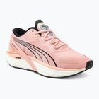 Women's running shoes PUMA Run XX Nitro rose dust/puma black