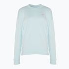Women's adidas Graphic sweatshirt almost blue