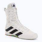 adidas Box Hog 4 cloud white/core black/cloud white boxing shoes