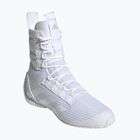 Boxing shoes adidas Speedex 23 cloud white/cloud white/grey one