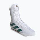 adidas Box Hog 4 cloud white/collegiate green/core black boxing shoes