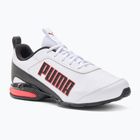 PUMA Equate SL 2 shoes puma black/puma white/for all time red