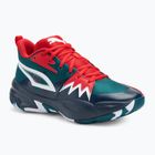 Men's basketball shoes PUMA Genetics club navy/cold green/for all time red