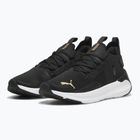 Women's running shoes PUMA Softride Symmetry Fuzion puma black/puma gold