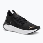 Women's running shoes PUMA Softride Symmetry Fuzion puma black/puma gold