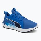 PUMA Softride Carson vivid blue/puma navy running shoes