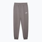 Men's sweatpants PUMA ESS No. 1 Logo Sweatpants TR CL cast iron