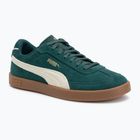 Men's shoes PUMA Club II Era Suede dark myrtle/alpine snow/gum