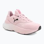 Women's running shoes PUMA Softride Mayve rose mauve/puma black/sun struck