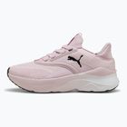 Women's running shoes PUMA Softride Mayve rose mauve/puma black/sun struck