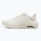 Women's running shoes PUMA X-Cell Nova CAT SL warm white/puma gold