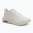 Women's running shoes PUMA X-Cell Nova CAT SL warm white/puma gold