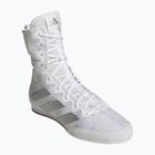 Boxing shoes adidas Box Hog 4 white/silver