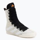 Boxing shoes adidas Box Hog 4 Orbit Grey/Ftwr White/Pure Orange