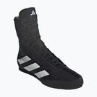 Boxing shoes adidas Box Hog 4 black/white