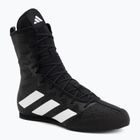 Boxing shoes adidas Box Hog 4 black/white