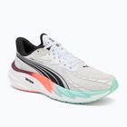 Men's running shoes PUMA Velocity Nitro 4 Hyrox puma white / mint