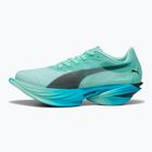 Women's running shoes PUMA Fast-R Nitro Elite 3 mint melt / speed blue