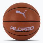 PUMA teamJAWS All Pro Basketball leather brown/puma black size 7