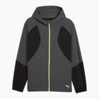 Men's running jacket PUMA Run Ultraweave Hooded dusky gray