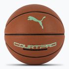 PUMA teamJAWS Court Pro Basketball leather brown/dark shadow size 7