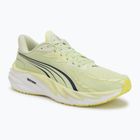 Men's running shoes Puma Velocity Nitro 4 green
