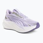 Running shoes Puma Maxima Pro light lavender/plum purple