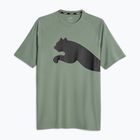Men's training T-shirt PUMA Train All Day Big Cat eucalyptus/puma black