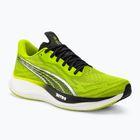 Men's running shoes PUMA Velocity Nitro 3 Psychedelic Rush green