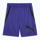 Men's PUMA Train All Day 8 Knit shorts zen blue