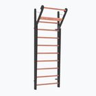 NOHrD WallBars 10 Club Ash Gymnastic Ladder