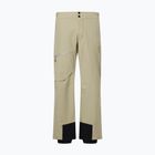Menʼs ski trousers Descente Light Insulated snow conifer